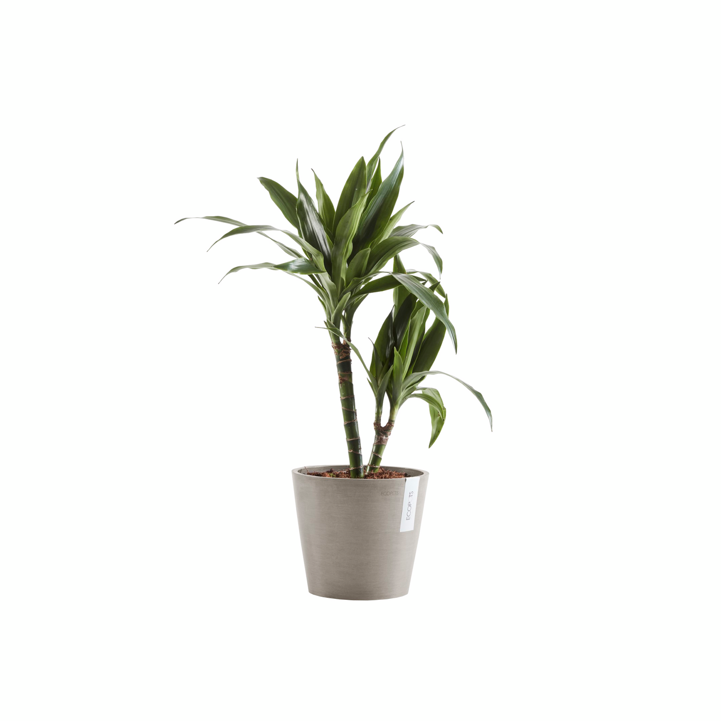 Ruukku Ecopots Amsterdam 25cm taupe